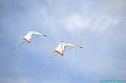 RIMINI 2012 - 274